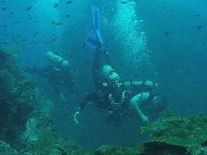 13_Diving_at_Aguila_de_Osa_340x255