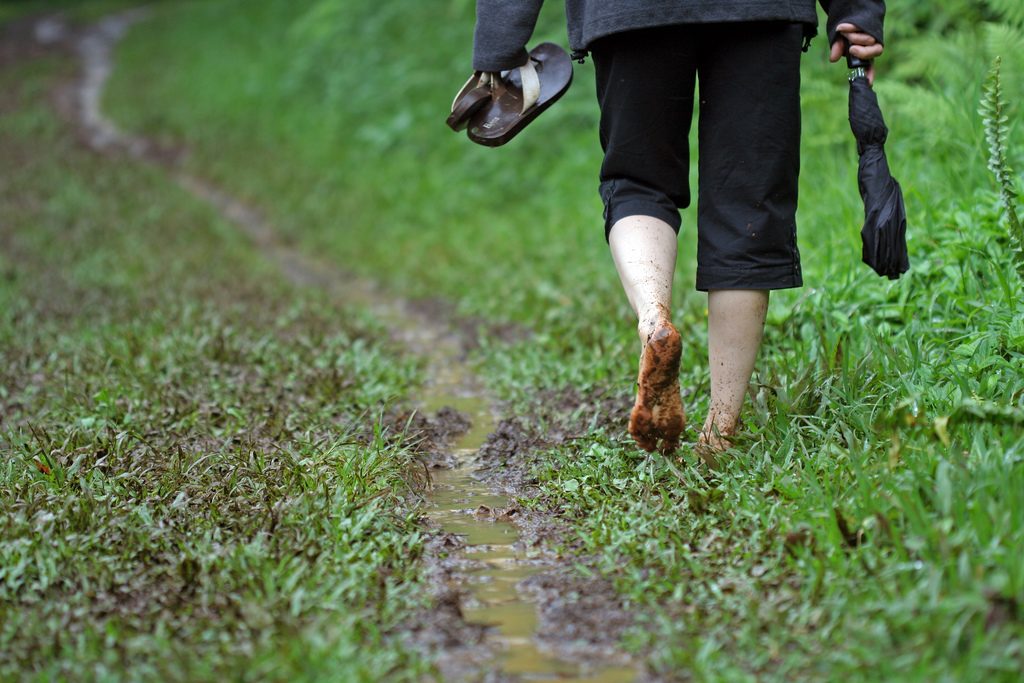 Going the beaten track. Ыефн щаа еру иуфеут екфсл. Off the beaten track. Beaten track идиома. Stay off the beaten track idiom.