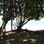 cahuita-national-park-2