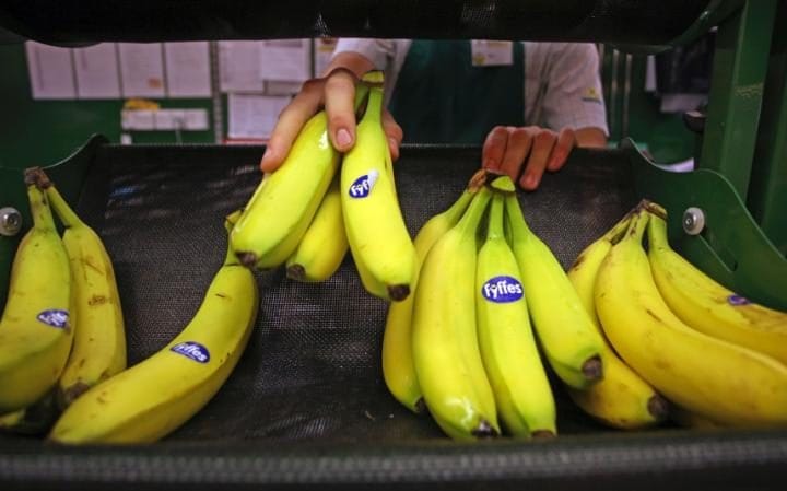 Costa Rica expects EU offer on bananas next month