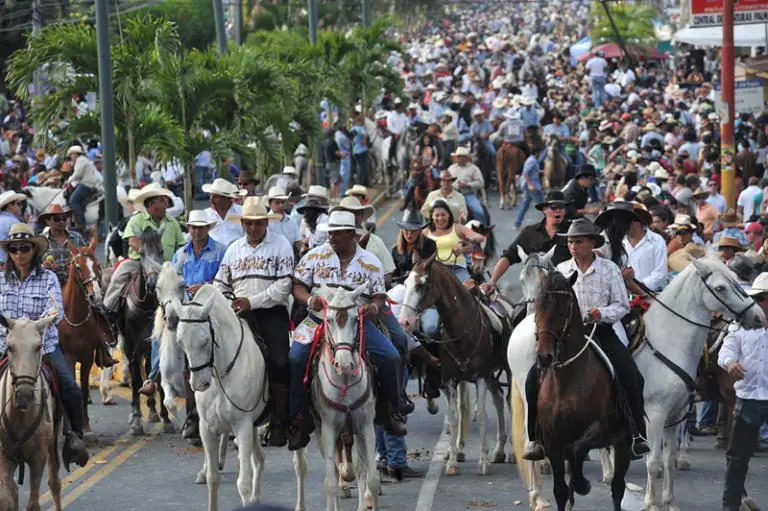 Fiestas Palmares Horse Parade – map and information