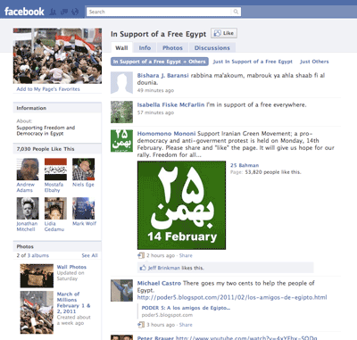 facebook page: In Support of a Free Egypt