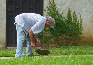 Cutting grass with a machete in Costa Rica