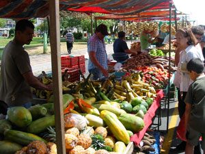 Farmer's market in Costa Rica