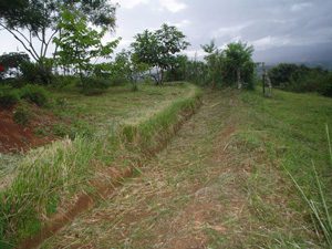 la gran vista farm