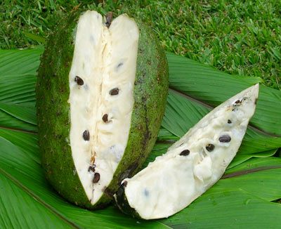 Get to Know Costa Rica’s Tropical Fruit