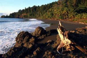 Explore Costa Rica's Best Beaches: Corcovado | TCRN