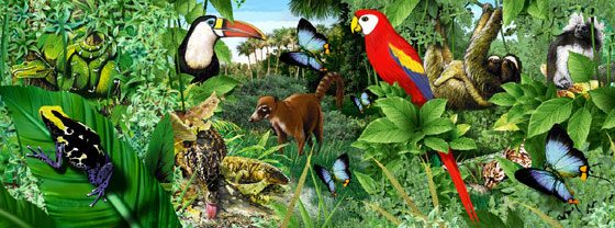 “Hidden cameras” Show the Fauna of Costa Rica in their Natural Environment