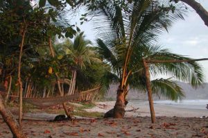 Explore Costa Rica's Best Beaches: Mal Pais | TCRN