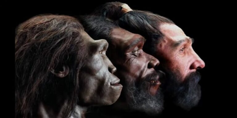 The Next Stage In Human Evolution?