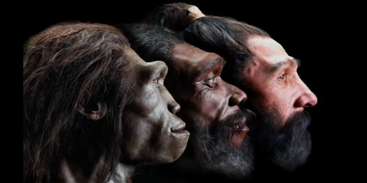 The Next Stage In Human Evolution?