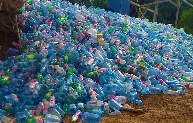 How Bad are Plastic Water Bottles for Your Health, Really?