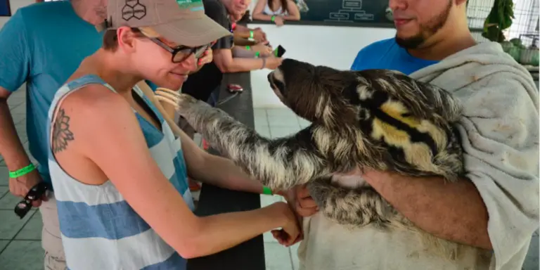 Sloth Sanctuary Thrives in Costa Rica