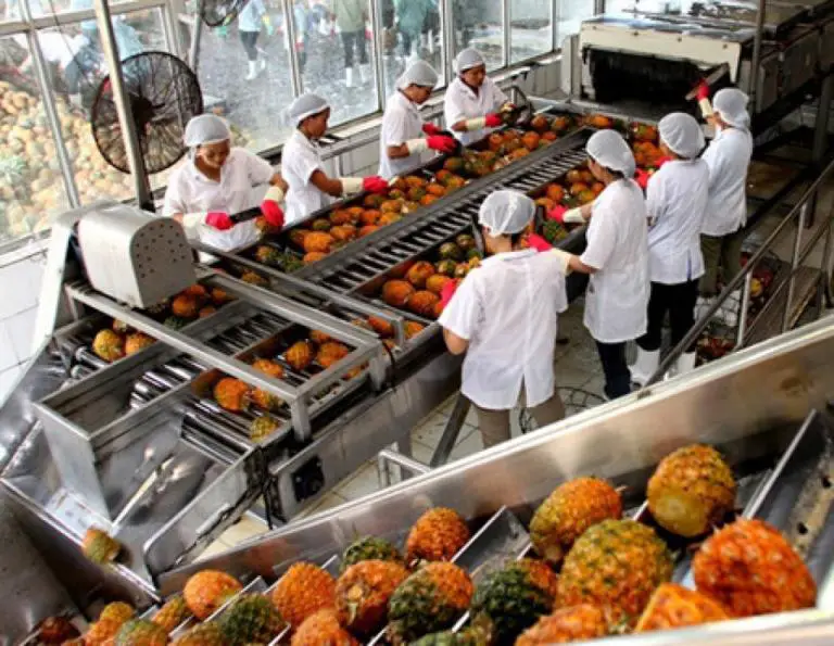 Costa Rica Negotiates the Entry of Fruit to China