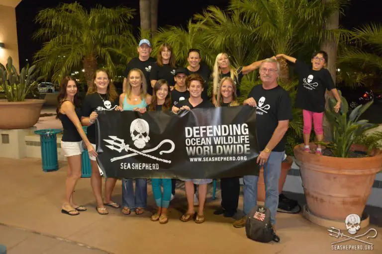 Sea Shepherd looks for volunteers in Costa Rica