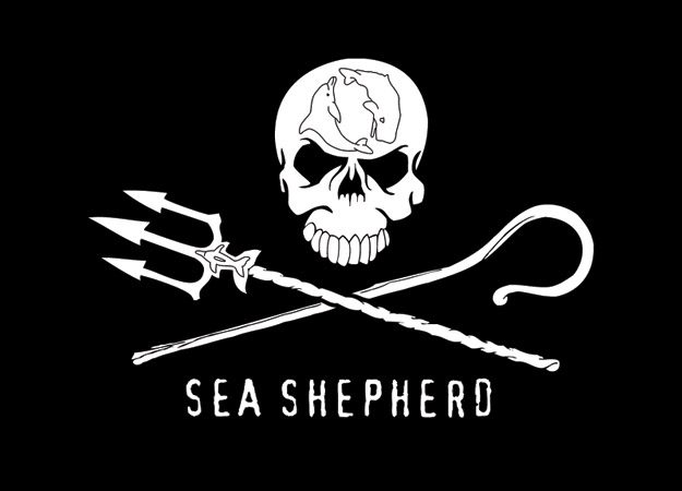 Motley Crue Drummer Tommy Lee Speaks Up For Sea Shepherd Founder Captain Paul Watson At German Concert
