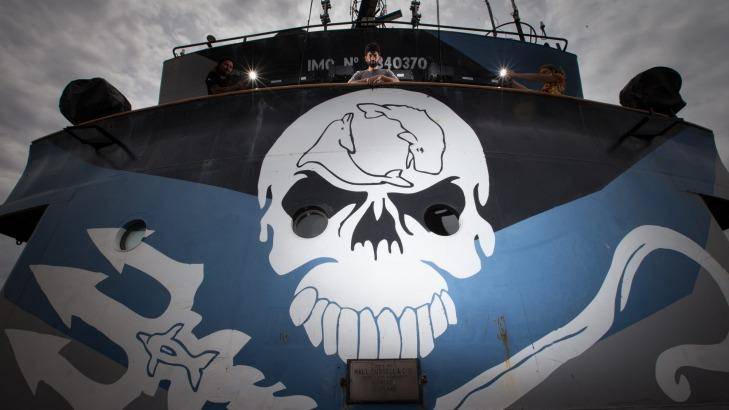 Paul Watson of Sea Shepherd Warns South Korea Whalers