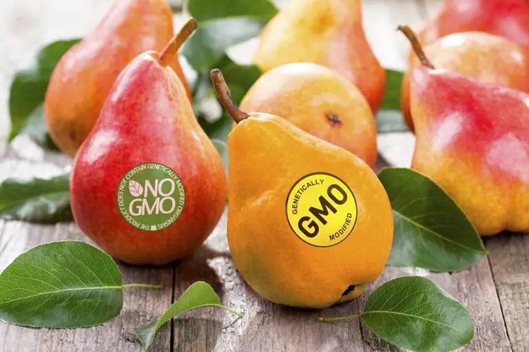 Campaign Against GMO’s Continues with Multi-Day Walk