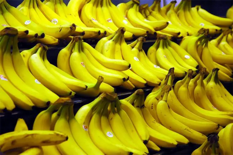 Banana Producers Earn Estimated $639,8 Million