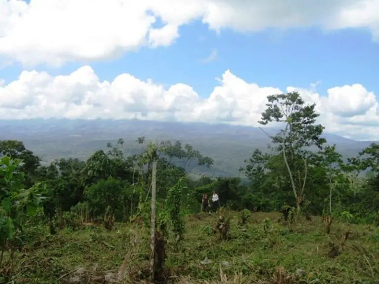 3237 m2 Lot with an Incredible View and Privacy only $20,000 in Turrialba