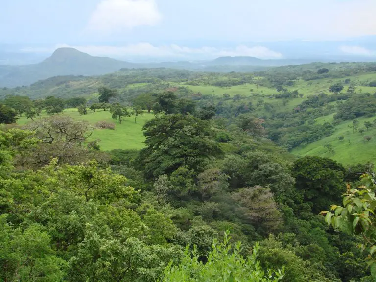 Northern Costa Rica: The Road Less Traveled