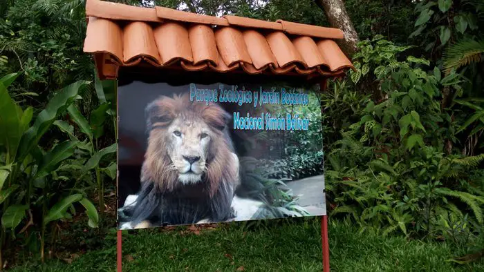 Costa Rica Getting Rid of Zoo’s Favoring Natural Environmental Awareness