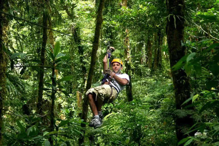 65 Costa Rican Companies Are Certified in Sustainable Tourism