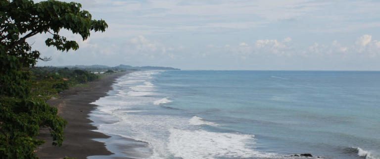 Environment Project Reforests 20 Hectares of Terrestrial Maritime Zone in Playa Hermosa, Jaco
