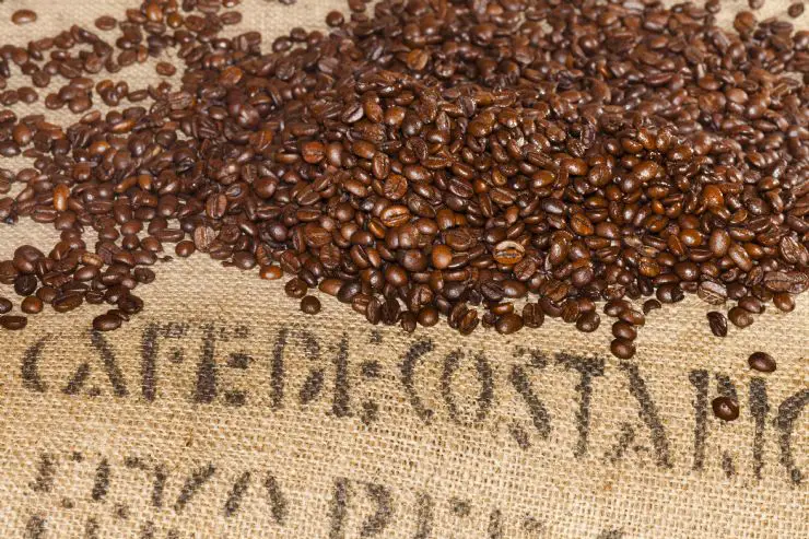 Costa Rica 09-10 Coffee Crop Up 5% To 1.67M Bags