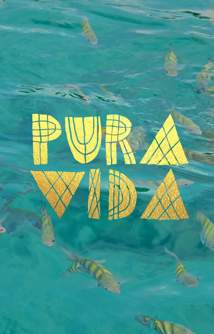 Learn About ‘Pura Vida’: How to Use It and Where It Came From