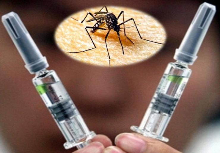 Experimental Dengue Vaccine Could Be Available in Costa Rica by 2015