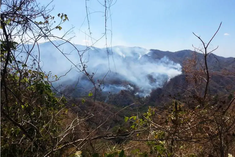 Costa Rica Wildfire Season Begins December 15