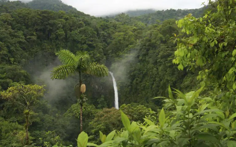 CAREIG Predicts Costa Rica’s Water-Rich Land Could Prove More Valuable Than Gold