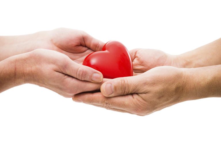 Save a Life! There are Only Six Organ Donors per Million People in Costa Rica