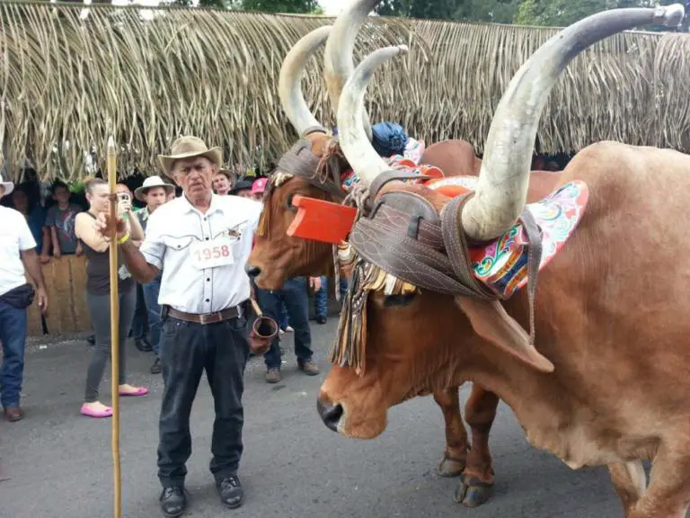 Festivities in San Ramon, Alajuela Continue Until Sept 7
