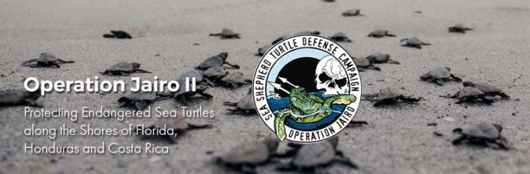 Sea Shepherd Conservation Society Announces New Campaign in Time For World Oceans Day