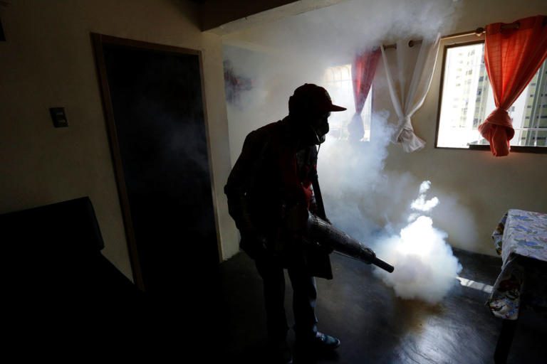 More than 28 new cases of Zika in the country, now totaling 98