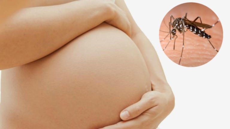 Ministry of Health Confirms 10 Zika Pregnancies