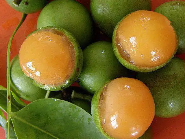 The Mamon Verde Fruit May Help People with High Blood Pressure