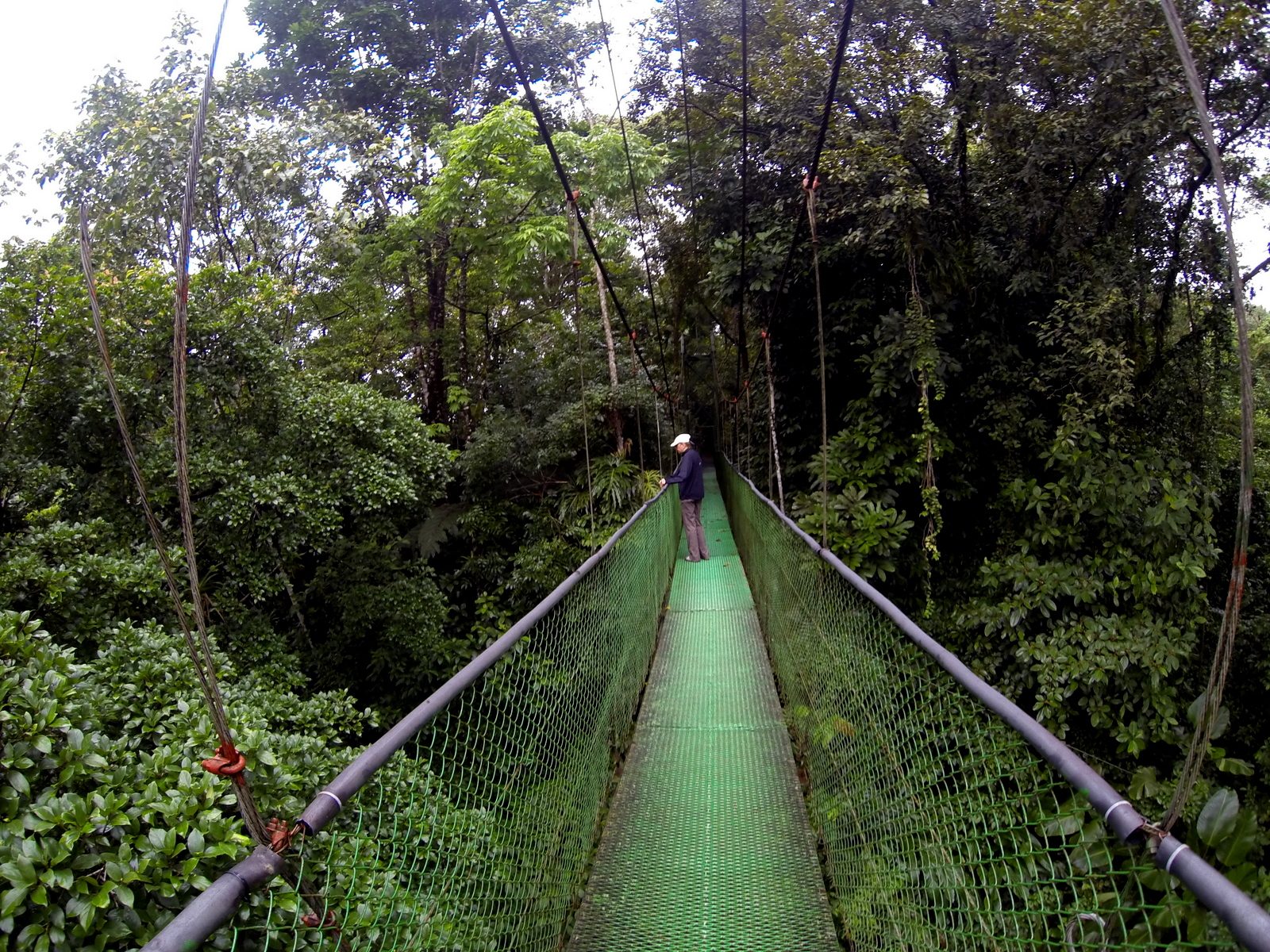 Acompañantes Costa Rica