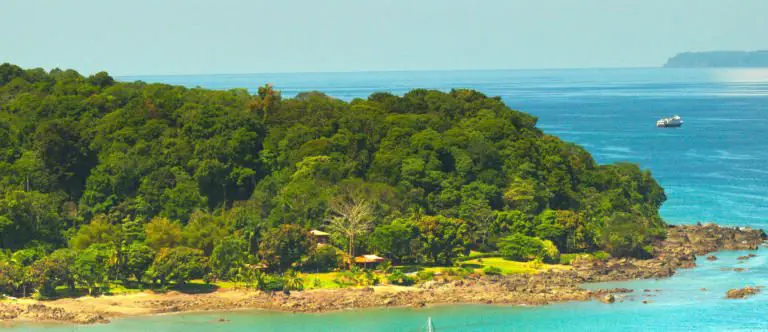 3 Top Reasons to Visit Drake Bay: