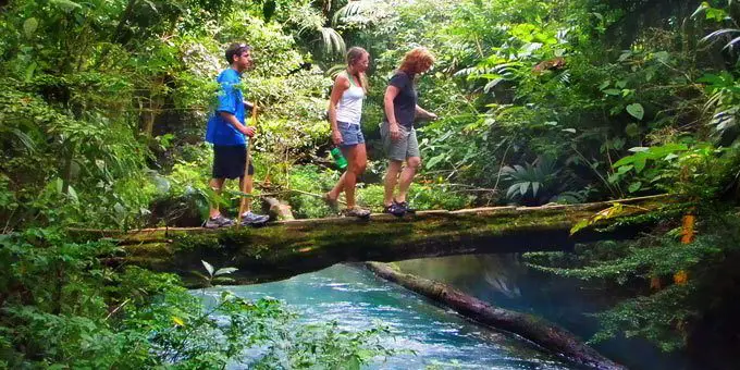 Hiking In Corcovado Park The Costa Rica News Hiking In Corcovado Park The Costa Rica News