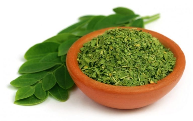 Moringa – Another Small, But Mighty Plant That Prevents Cancer, and Much More!