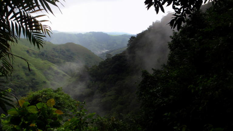 A Guide to Monteverde Cloud Forest Reserve