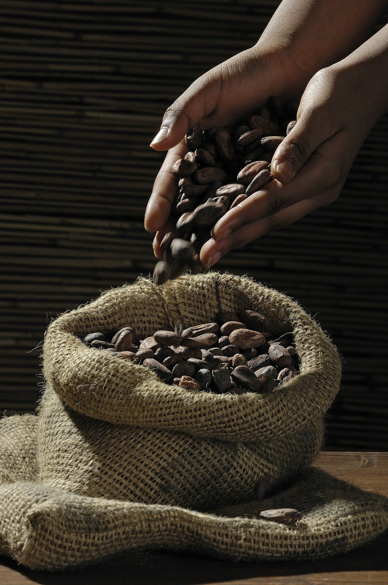 cacao beans costa rica