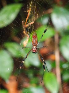 Cahuita, Costa Rica