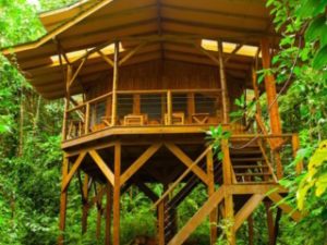 Finca BellaVista Treehouse Community