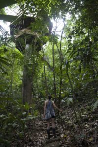 Finca BellaVista Treehouse Community