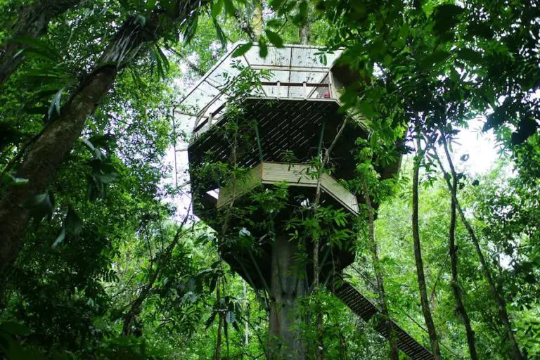 Life in a TreeHouse at Finca BellaVista, Costa Rica