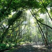 Corcovado National Park, Costa Rica